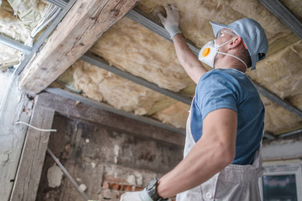 Best Specialty Insulation in Forest Meadows, CA