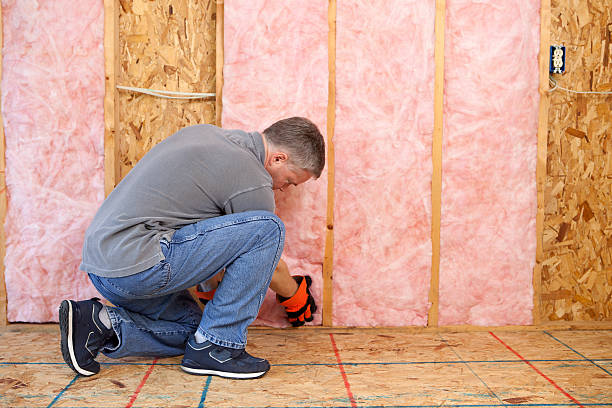 Best Insulation Maintenance and Repair in Forest Meadows, CA